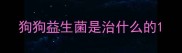 狗狗益生菌是治什么的