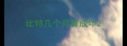 比特几个月算成年