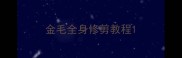 金毛全身修剪教程