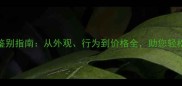 拉布拉多网上鉴别指南从外观行为到价格全助您轻松辨别真假犬种