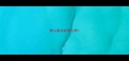 网上新买的哈士奇