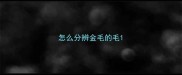 怎么分辨金毛的毛
