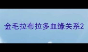 金毛拉布拉多血缘关系