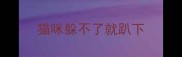 猫咪躲不了就趴下