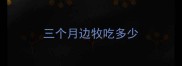 三个月边牧吃多少