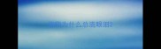 狗狗为什么总流眼泪