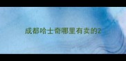 成都哈士奇哪里有卖的