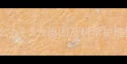 小拉布拉多没精神怎么办5大原因及科学护理指南附诊断清单