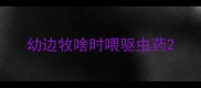 幼边牧啥时喂驱虫药