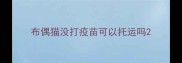 布偶猫没打疫苗可以托运吗