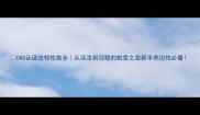 CKU认证边牧性格全从活泼到沉稳的蜕变之路新手养边牧必看