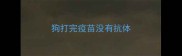 狗打完疫苗没有抗体