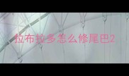 拉布拉多怎么修尾巴