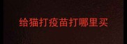 给猫打疫苗打哪里买