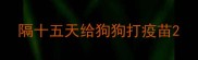 隔十五天给狗狗打疫苗