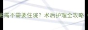 猫咪绝育到底需不需要住院术后护理全攻略附真实案例