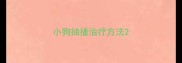 小狗抽搐治疗方法