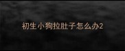初生小狗拉肚子怎么办