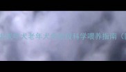 新手必看幼犬成年犬老年犬全阶段科学喂养指南附避坑清单
