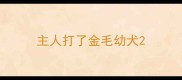 主人打了金毛幼犬