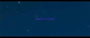 比熊犬五个月应该