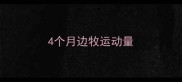 4个月边牧运动量