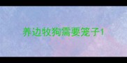 养边牧狗需要笼子
