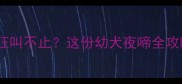 两个月狗狗晚上狂叫不止这份幼犬夜啼全攻略让TA安睡整晚
