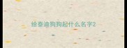 给泰迪狗狗起什么名字