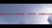 科学指南拉布拉多犬生育全流程产仔时间注意事项及护理要点