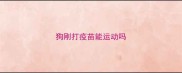 狗刚打疫苗能运动吗