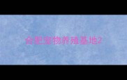 合肥宠物养殖基地