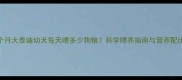 二个月大泰迪幼犬每天喂多少狗粮科学喂养指南与营养配比表