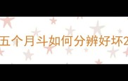 五个月斗如何分辨好坏