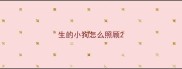 生的小狗怎么照顾