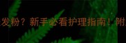 边牧幼犬皮肤发粉新手必看护理指南附超全养护干货