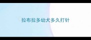 拉布拉多幼犬多久打针