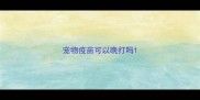 宠物疫苗可以晚打吗