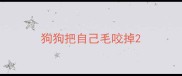 狗狗把自己毛咬掉