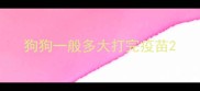 狗狗一般多大打完疫苗
