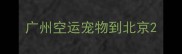 广州空运宠物到北京