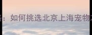 带宠物住酒店全攻略如何挑选北京上海宠物友好酒店及必备指南
