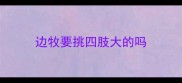 边牧要挑四肢大的吗