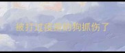 被打过疫苗的狗抓伤了