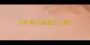 狗狗喜欢挨着主人睡