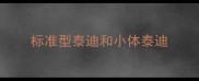 标准型泰迪和小体泰迪