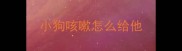 小狗咳嗽怎么给他