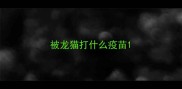 被龙猫打什么疫苗