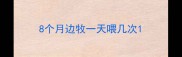 8个月边牧一天喂几次
