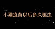 小猫疫苗以后多久驱虫